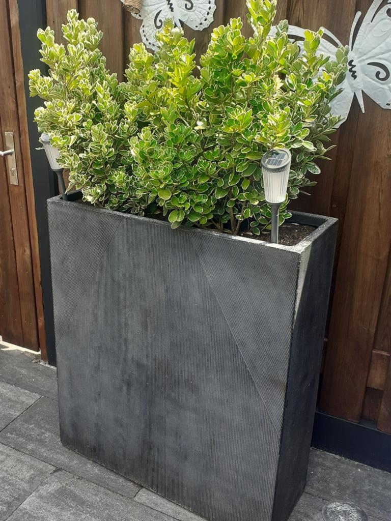 Plantenbak 80br  95hoog  30diep, Tuin en Terras, Bloembakken en Plantenbakken, Ophalen, Rond