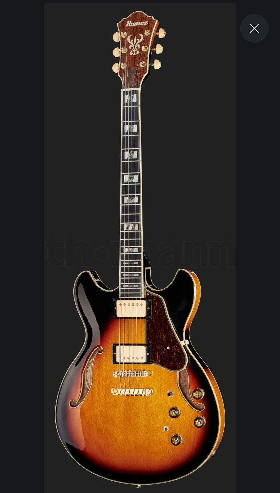 Ibanez AS113 (on demand), Ophalen, Zo goed als nieuw, Semi-solid body, Ibanez