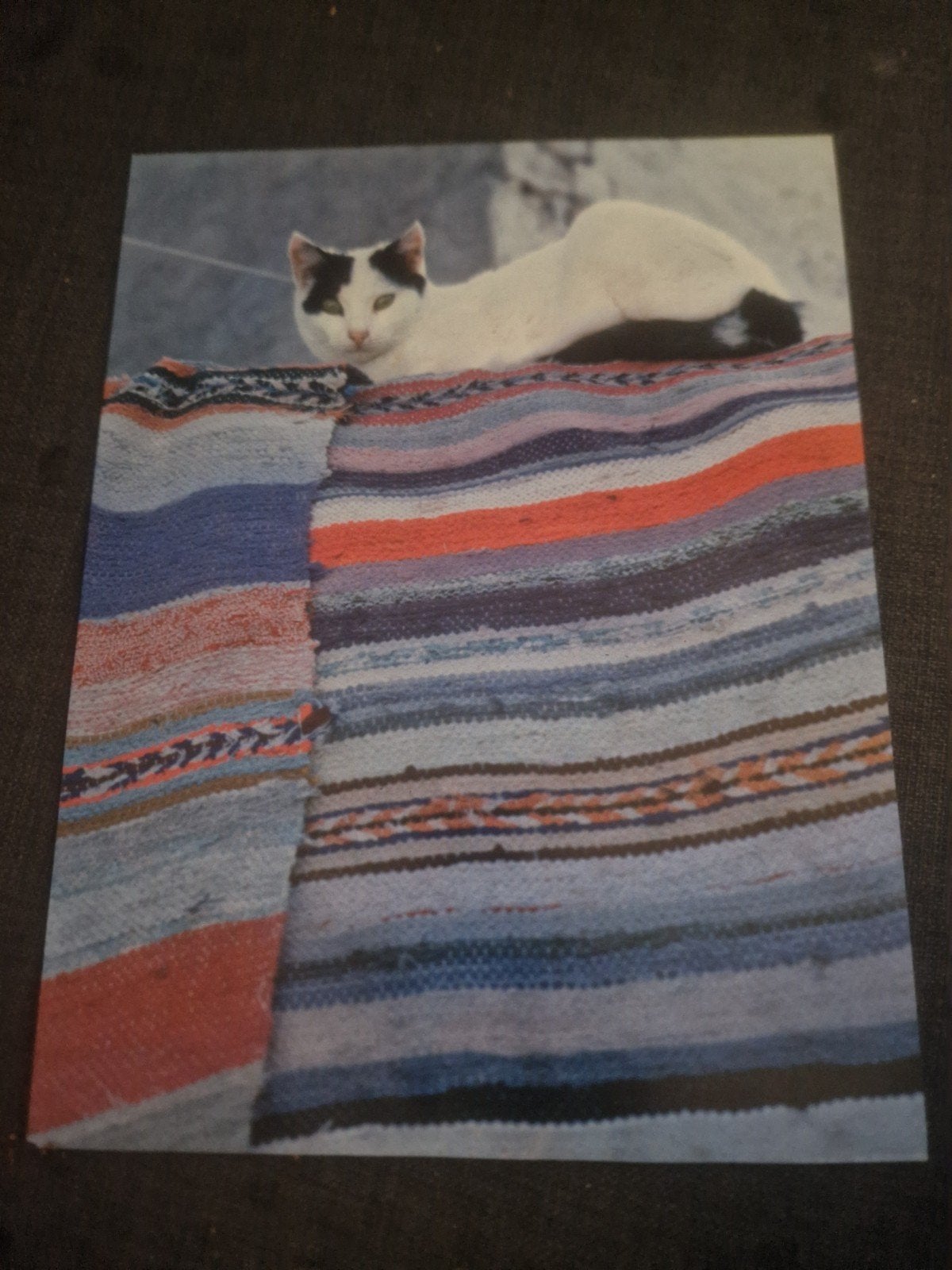 3 Vintage Kattenfoto's uit Griekenland - Maurice Subervie, Ophalen, Gebruikt, 1980 tot heden, Foto
