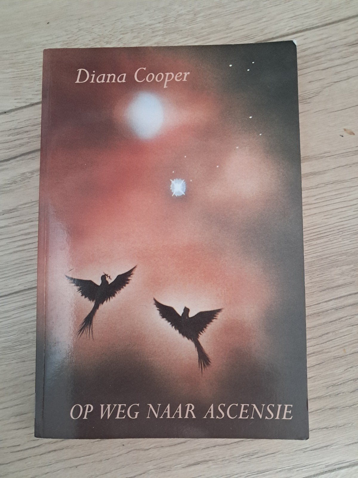 Op Weg Naar Ascensie - Diana Cooper, Boeken, Gelezen, Achtergrond en Informatie, Spiritualiteit algemeen, Ophalen of Verzenden