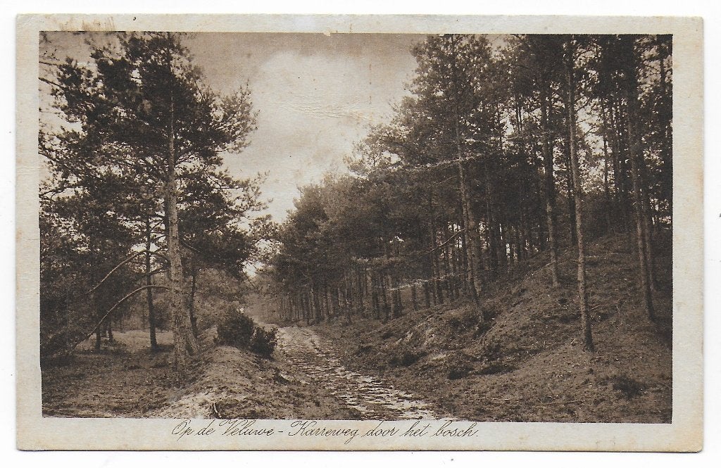 Op de Veluwe Karreweg Ansichtkaart B7668 uit1930, Ophalen of Verzenden, 1920 tot 1940, Gelopen, Gelderland
