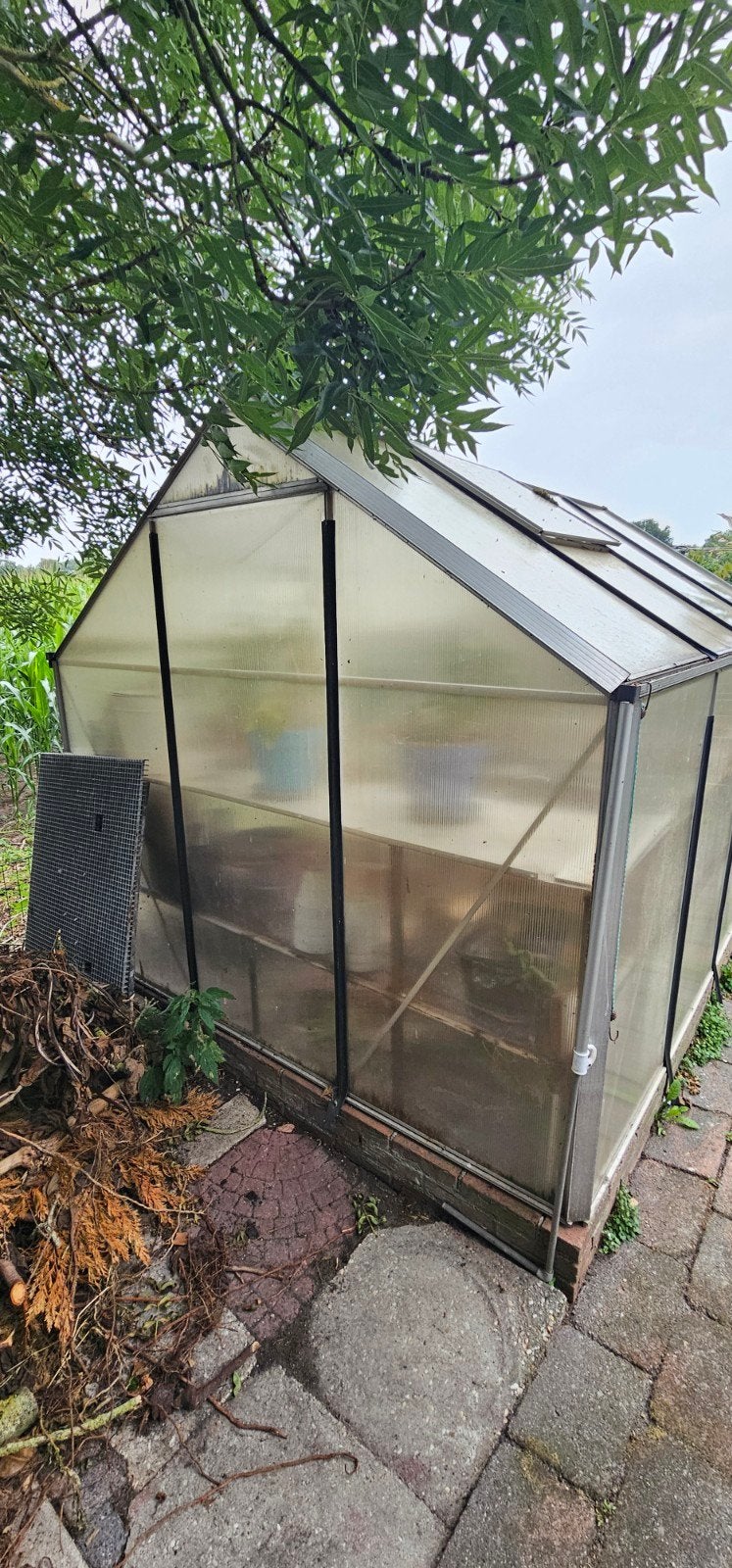 Ruime Kweekkas met Polycarbonaat Panelen, Ophalen, Polycarbonaat, Gebruikt, Aluminium