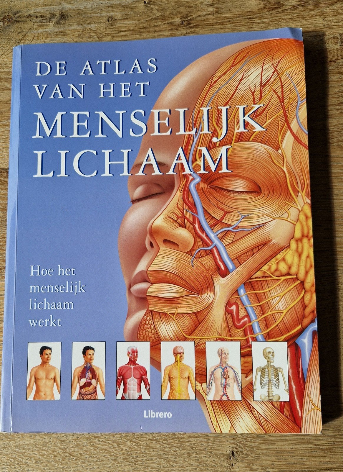 Atlas van het Menselijk Lichaam, Boeken, Medisch, Ophalen of Verzenden, Los deel, Onbekend