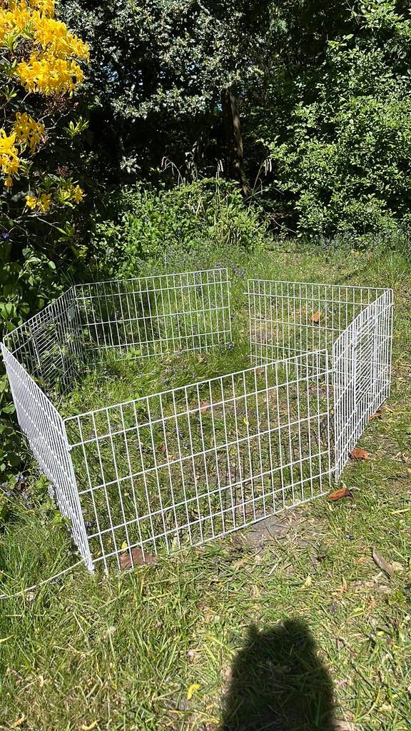 Cavia ren, Ophalen of Verzenden, Zo goed als nieuw