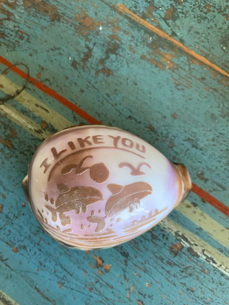 Gesneden Kauri schelp met 'I LIKE YOU' en dolfijnen, Ophalen of Verzenden, Zo goed als nieuw