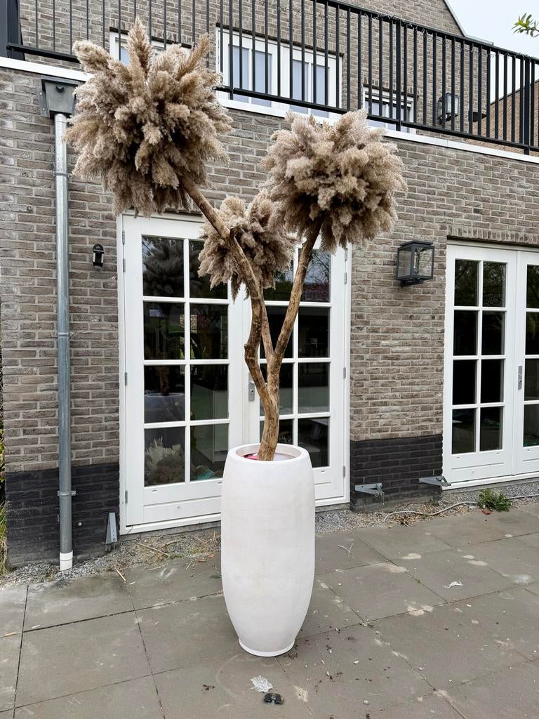 Luxe Kunst Pampasgras Boom - MR Plume Design, Binnen, Beige, Kunstplant, Nieuw
