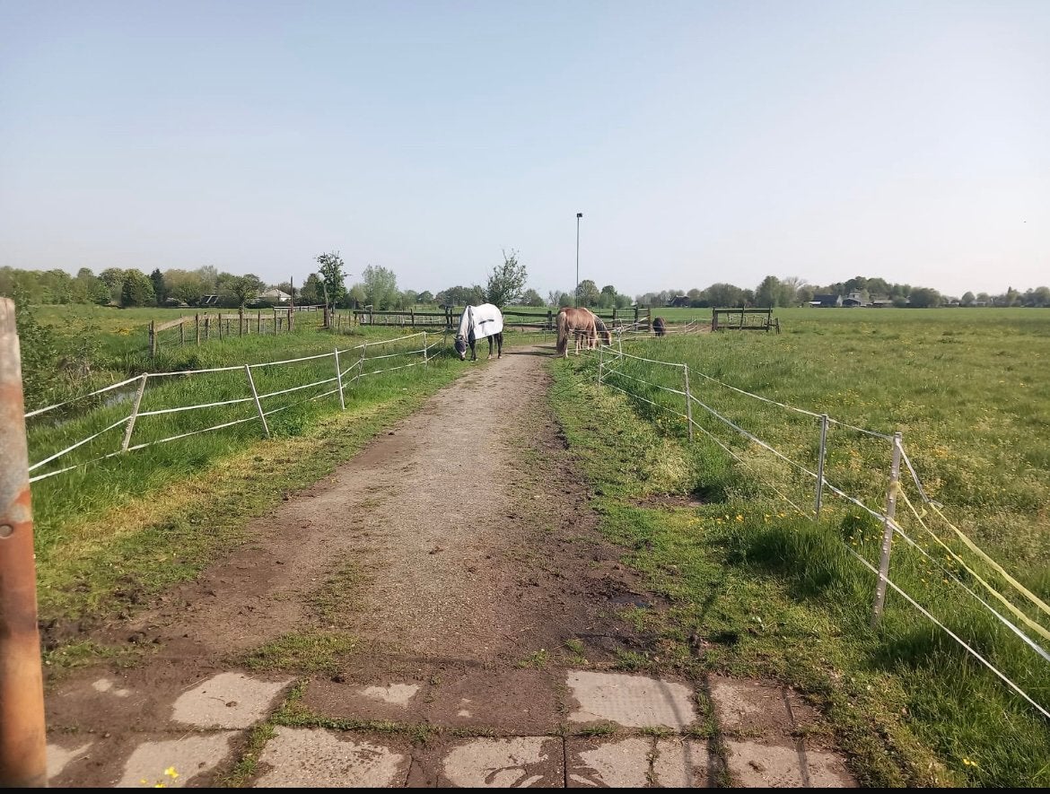 Heerlijke plek voor pony, Dieren en Toebehoren