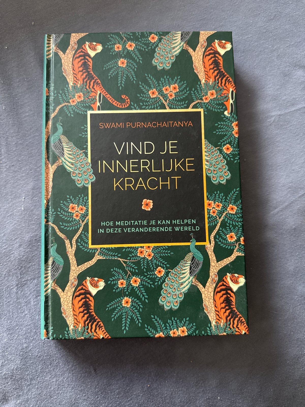 Vind Je Innerlijke Kracht - Meditatiegids, Boeken, Ophalen of Verzenden, Zo goed als nieuw, Meditatie of Yoga, Instructieboek