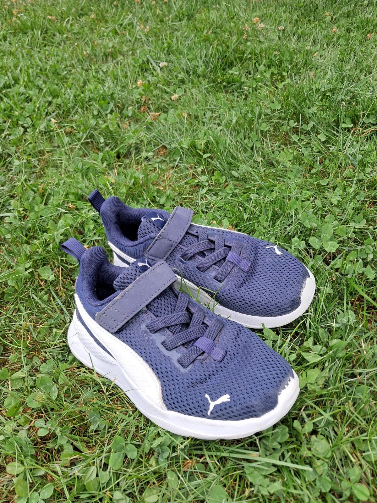 Puma gym/hardloopschoenen!, Ophalen, Puma, Zo goed als nieuw, Jongen of Meisje