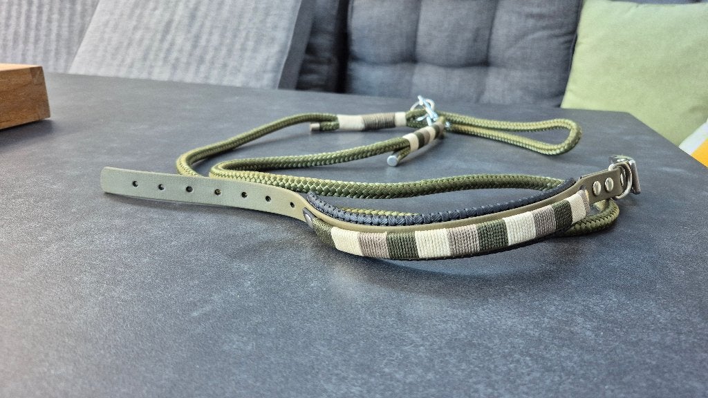 Set halsband en riem, Dieren en Toebehoren, Ophalen of Verzenden, Zo goed als nieuw, Hondenriem