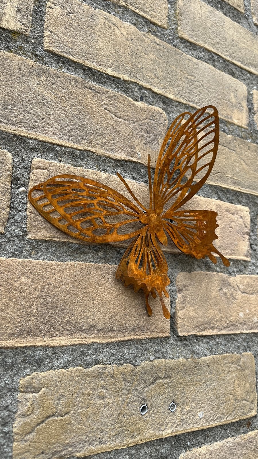 3D Dubbele Vleugels Cortenstaal Vlinder 15x12 cm Roest, Ophalen of Verzenden, Nieuw