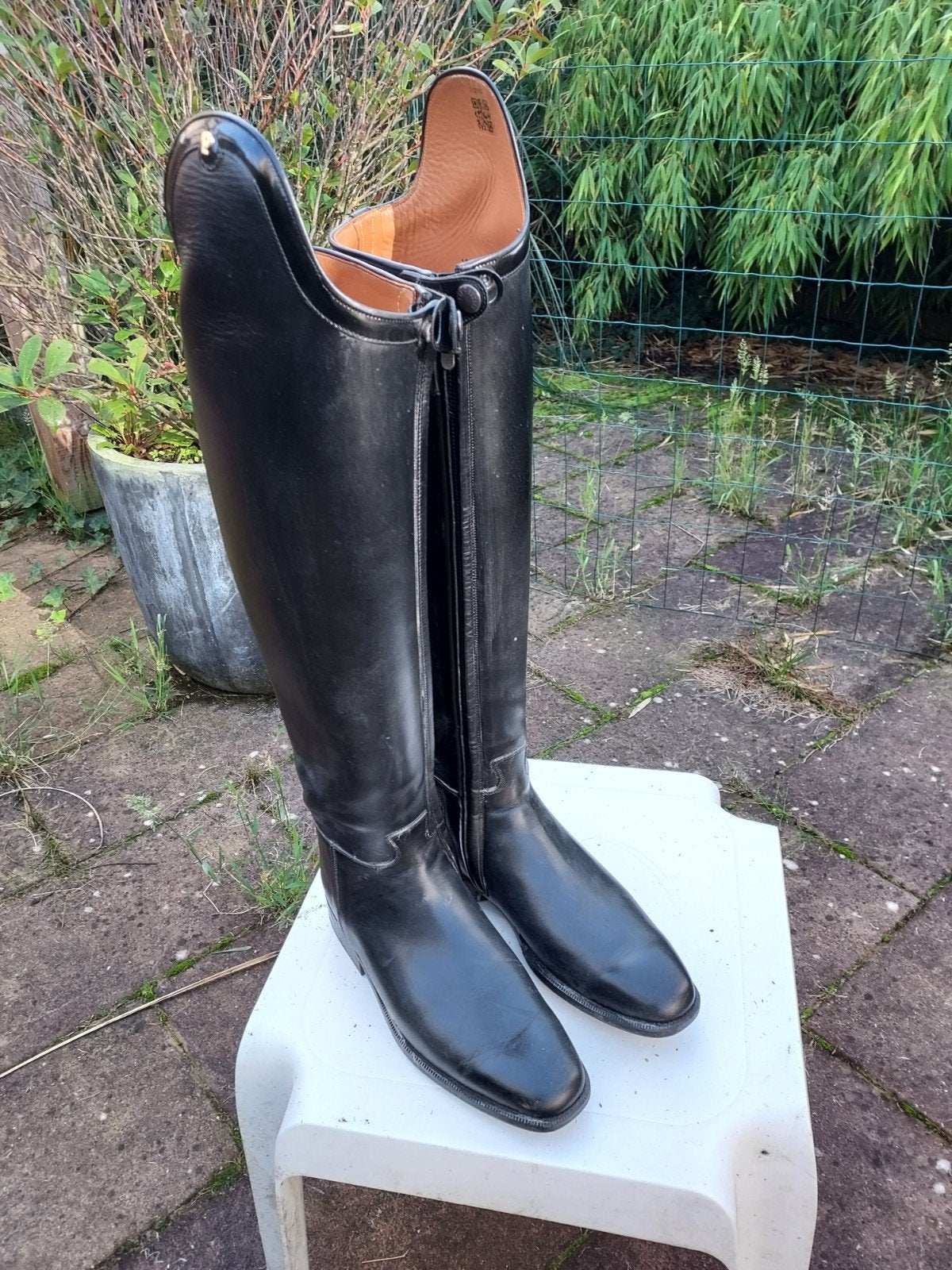 Petrie paardrijlaarzen maat 44/45, Ophalen, Zo goed als nieuw, Dressuur, Schoeisel