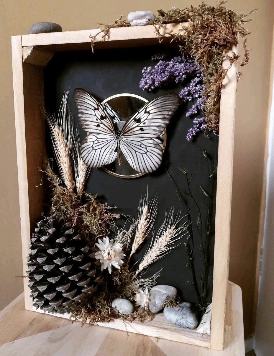 taxidermie vlinder in lijst, Verzamelen, Dierenverzamelingen, Ophalen of Verzenden, Nieuw, Insect, Opgezet dier