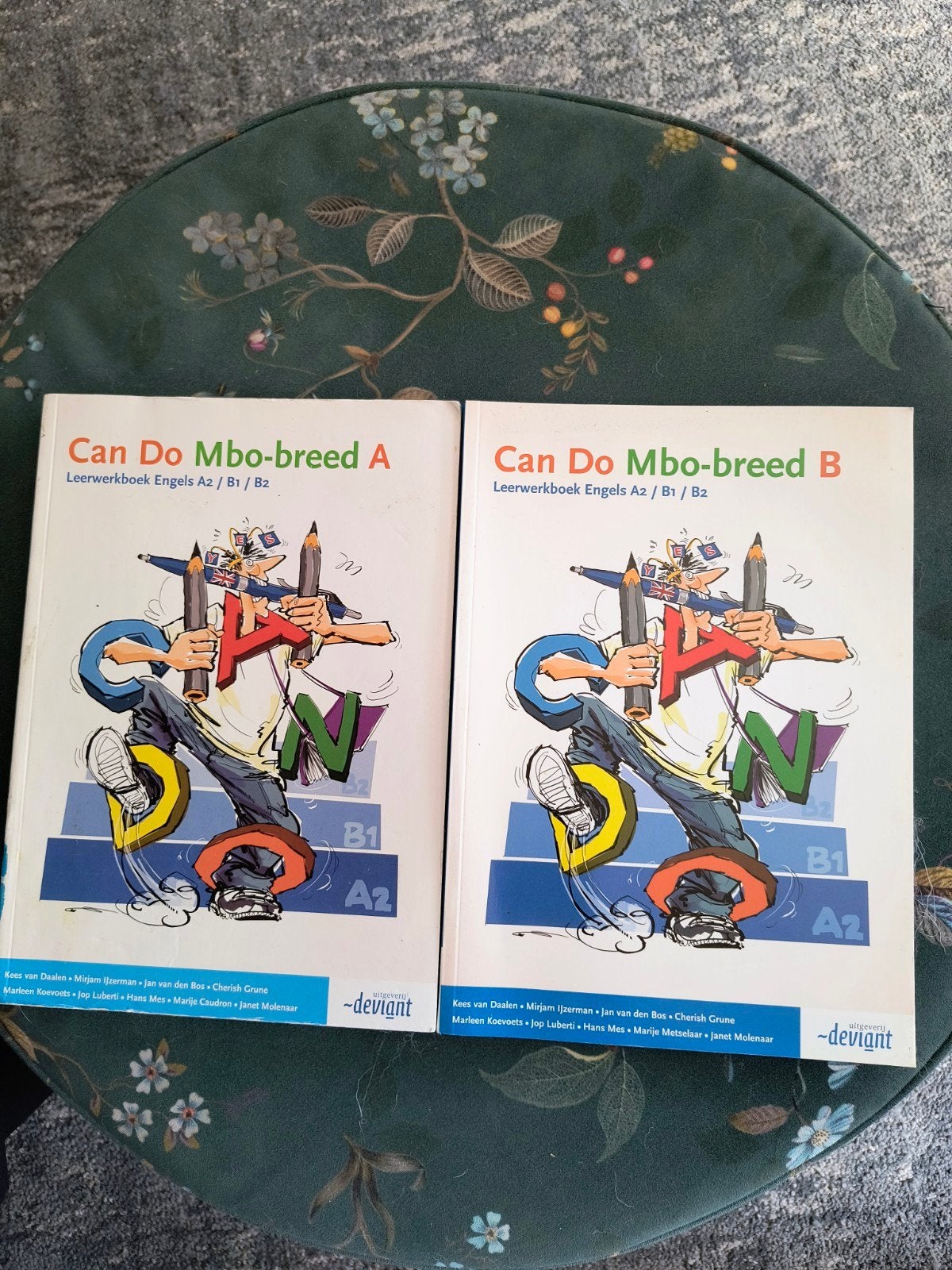 Can Do Mbo-breed A en B Leerwerkboek Engels A2/B1/B2, Kees van Daalen, Mirjam Ijzerman, Jan van den Bos, Cherish Grune, Engels