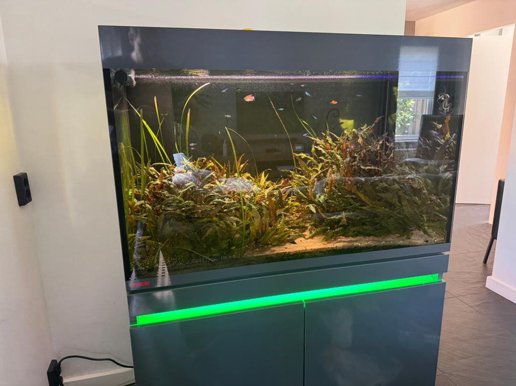 Eheim Incpiria 330 compleet met vissen en toebehoren., Ophalen, Gebruikt, Gevuld zoetwateraquarium, Inclusief vissen