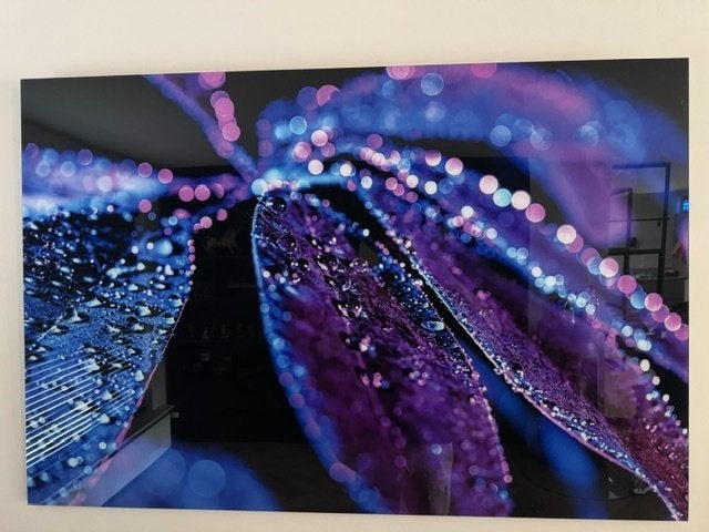 fotoschilderij paarse bloem., Huis en Inrichting, Woonaccessoires | Schilderijen, Tekeningen en Foto's, Ophalen, Oorspronkelijke maker