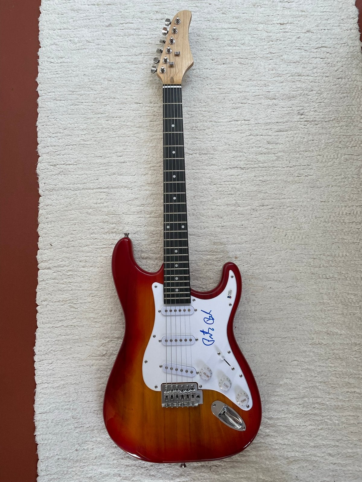 Gesigneerde gitaar Peter Buck - R.E.M., Ophalen of Verzenden, Zo goed als nieuw, Solid body, Overige merken
