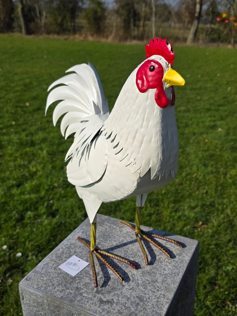 Haan /Hen / metaal / kippen / NIEUW, Dierenbeeld, Nieuw, Metaal, Info@huisentuindecoratiemarie.nl
