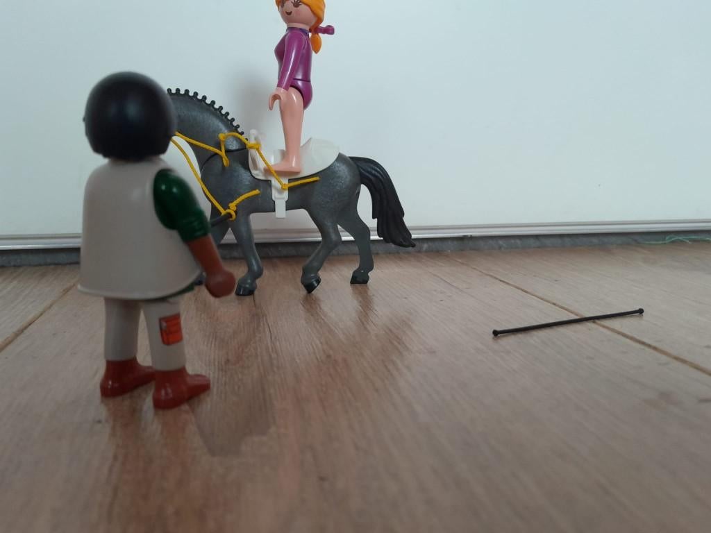 Playmobil Acrobate te paard met trainer 5229, Ophalen of Verzenden, Zo goed als nieuw, Complete set