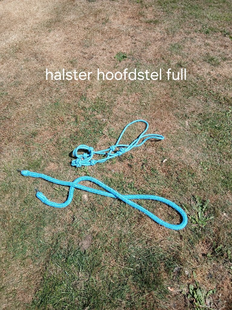 Halster hoofdstel, Ophalen, Zo goed als nieuw, Halster, Full