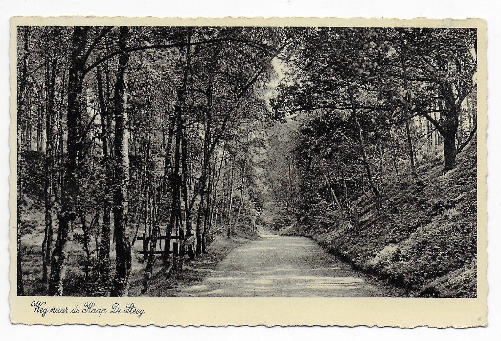 De Steeg weg naar de Kaap Oude Gelopen Ansichtkaart (B8276 ), Ophalen of Verzenden, 1920 tot 1940, Gelopen, Gelderland