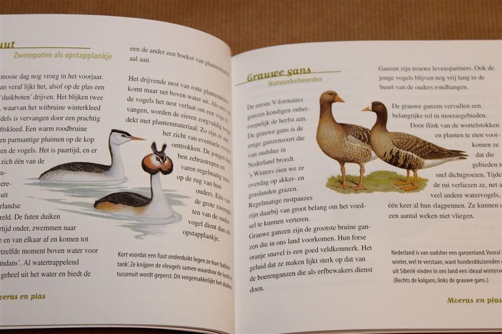 Wat Vliegt Daar? — Vogels In Onze Natuur [Vogelbescherming], Ophalen of Verzenden, Gelezen, Vogels