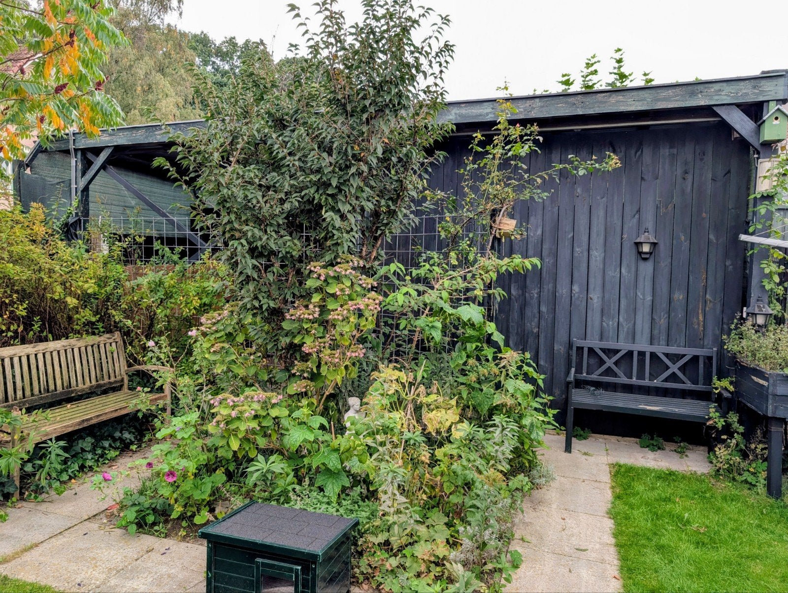 Gratis bij demontage: (hout voor) grote carport/overkapping, Tuin en Terras, Ophalen, Tuinhuis, Zonder ramen, 500 cm of meer