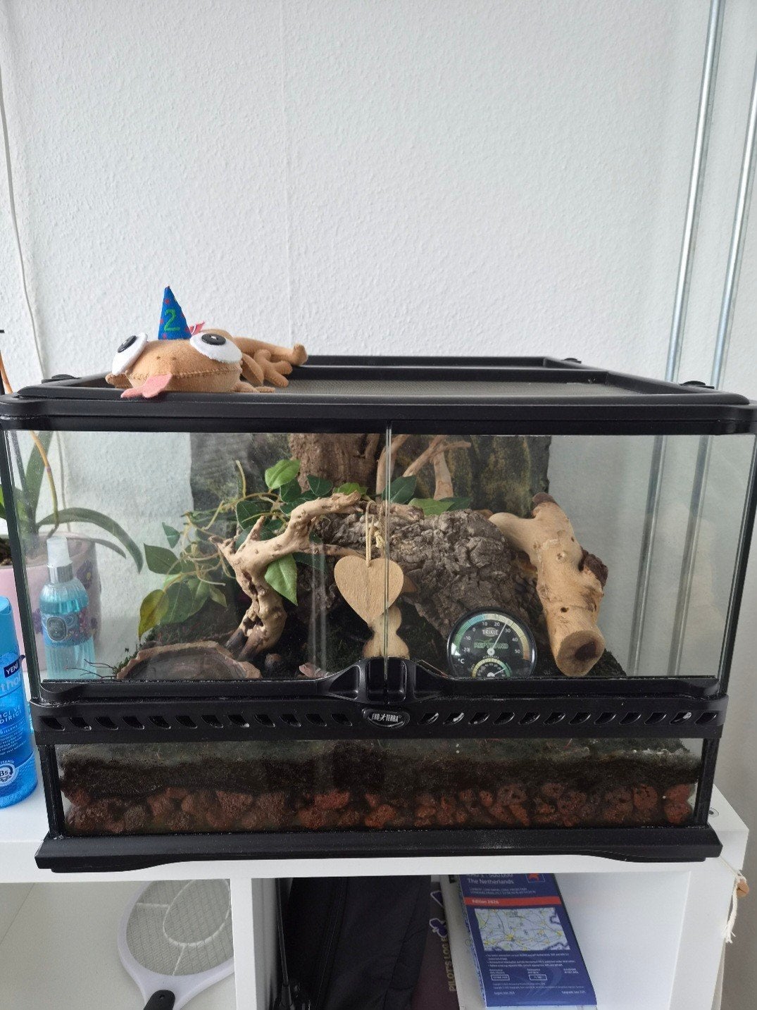 Exo Terra terrarium 454530 cm – met warmtemat, Dieren en Toebehoren, Ophalen, Gebruikt, Terrarium of Paludarium