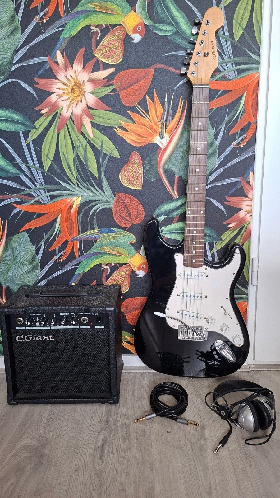 C.Giant Elektrische Gitaar Set met Versterker, Ophalen, Solid body, Overige merken, Met versterker