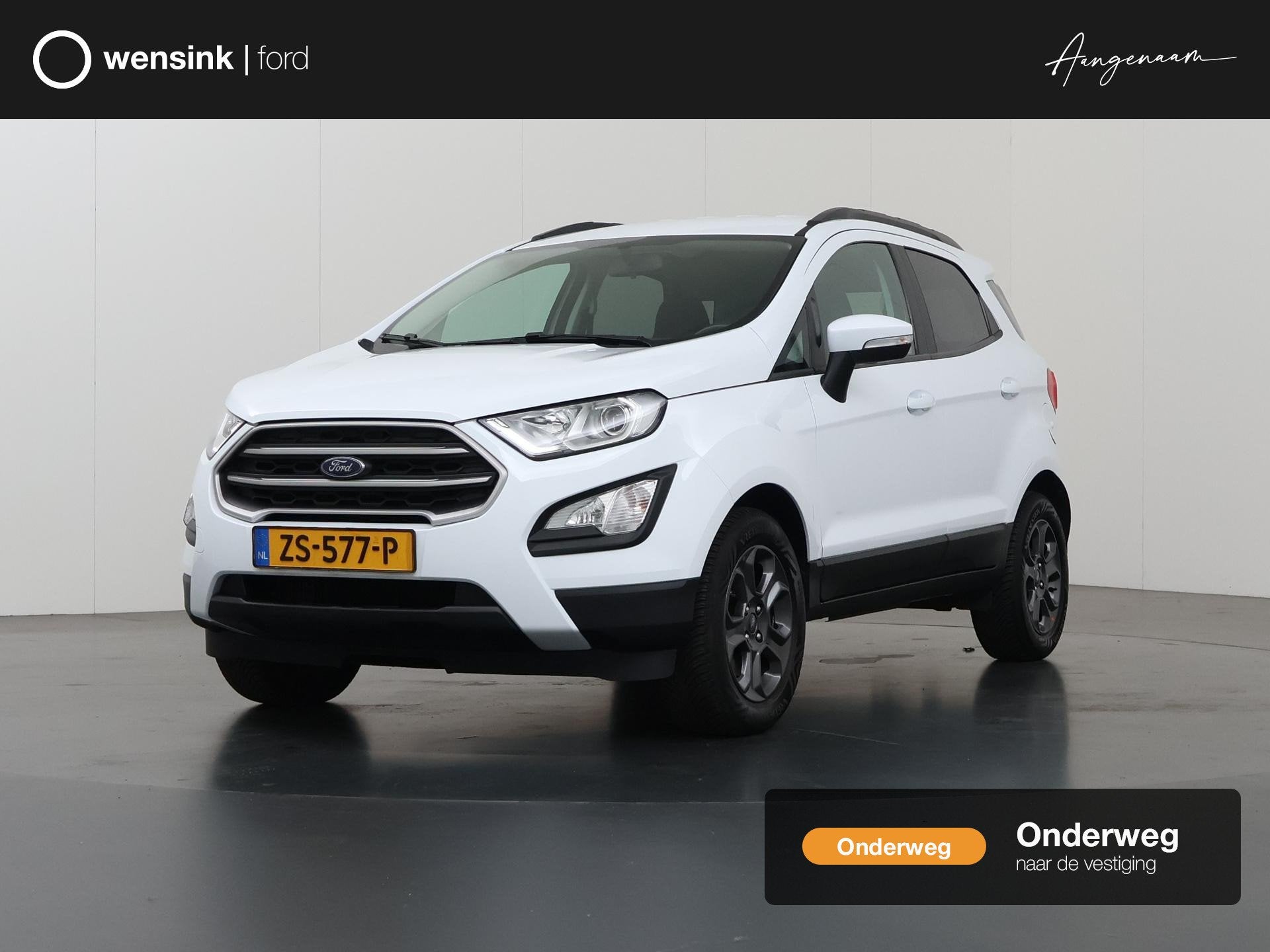 Ford EcoSport 1.0 EcoBoost Trend Ultimate | Trekhaak | Navig