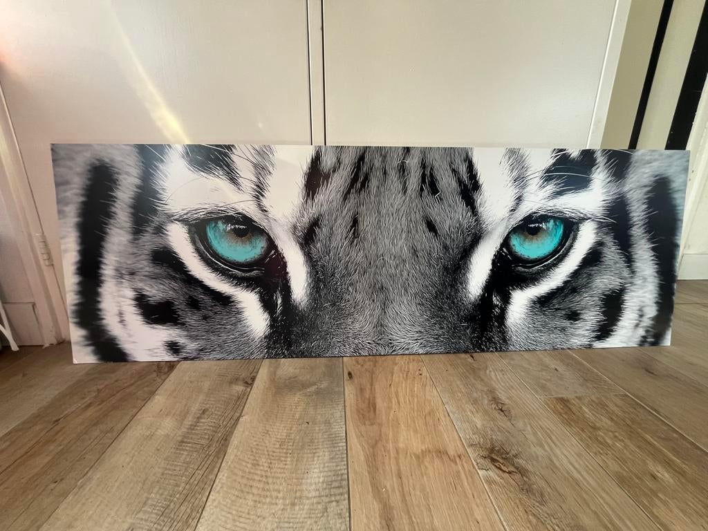 Canvas witte tijger, Ophalen, 50 tot 75 cm, 125 cm of meer, Zo goed als nieuw