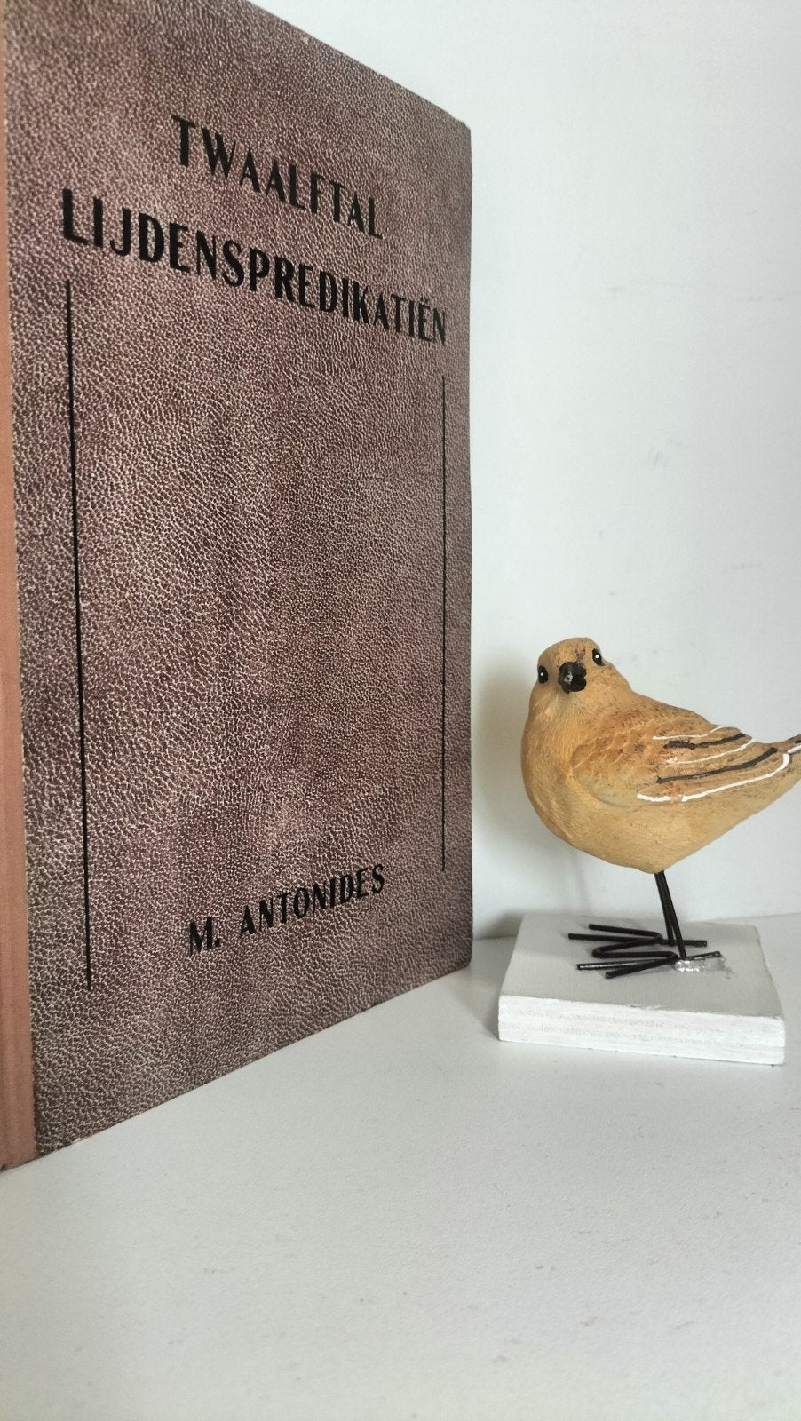 Antonides, M.; Twaalftal lijdenspredikatien, Ophalen of Verzenden, Gelezen, Christendom | Protestants