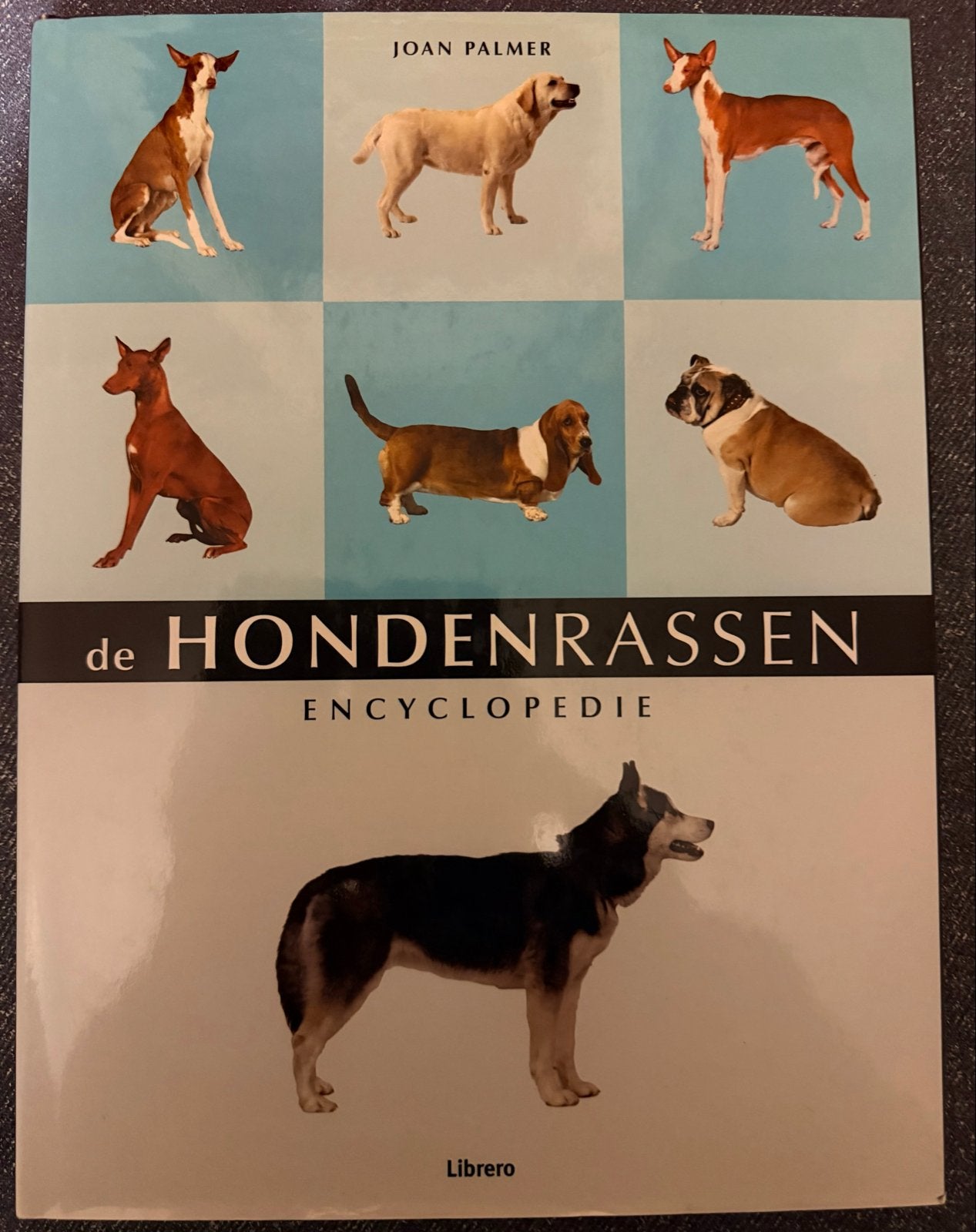 De Hondenrassen Encyclopedie - Joan Palmer, Boeken, Ophalen of Verzenden, Zo goed als nieuw, Dieren, Los deel