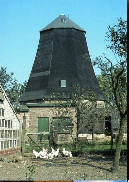 (GD444) Ansichtkaart Wijchen molen Jan Peters 1962 restant, Ophalen of Verzenden, 1980 tot heden, Ongelopen, Gelderland
