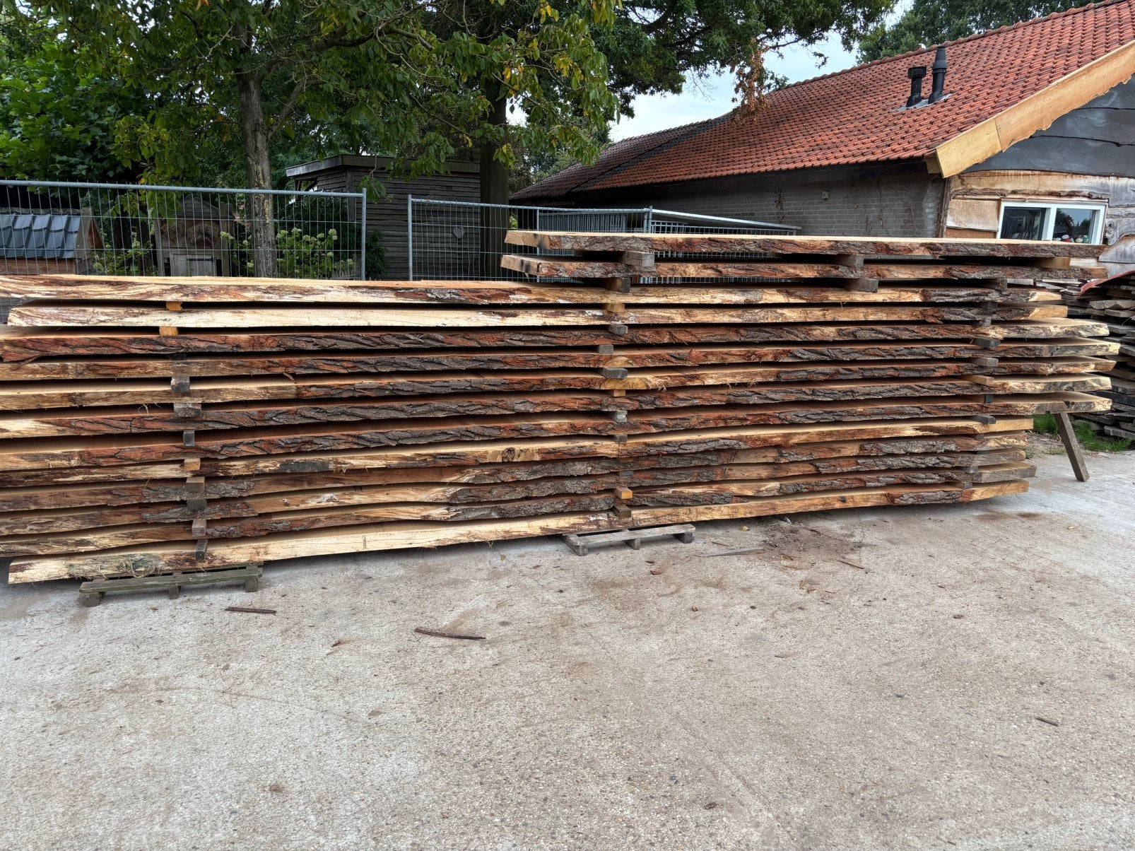 Eiken boomstam bladen, Ophalen, Nieuw, Hout, 50 tot 100 mm