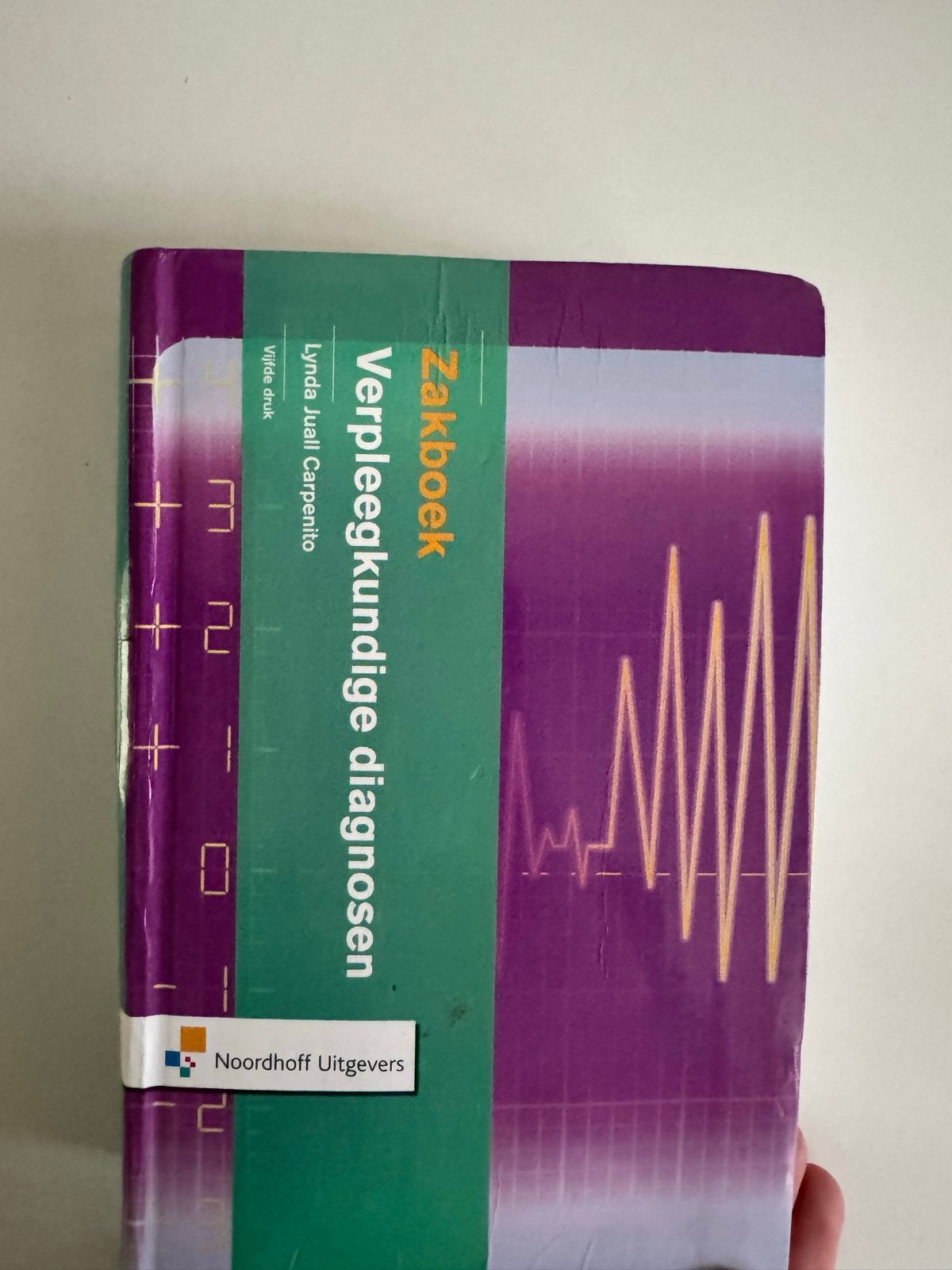 Zakboek Verpleegkundige diagnosen - Lynda Juall Carpenito, Ophalen of Verzenden, Zo goed als nieuw