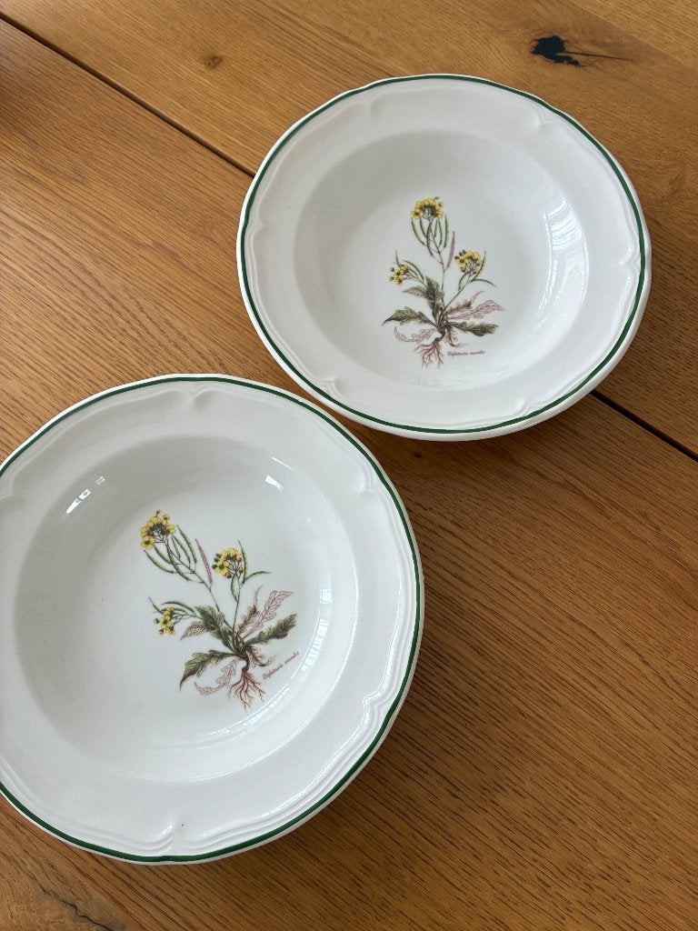 2 diepe borden Ceramica Quadrifoglio, Ophalen of Verzenden, Zo goed als nieuw, Bord(en), Overige stijlen