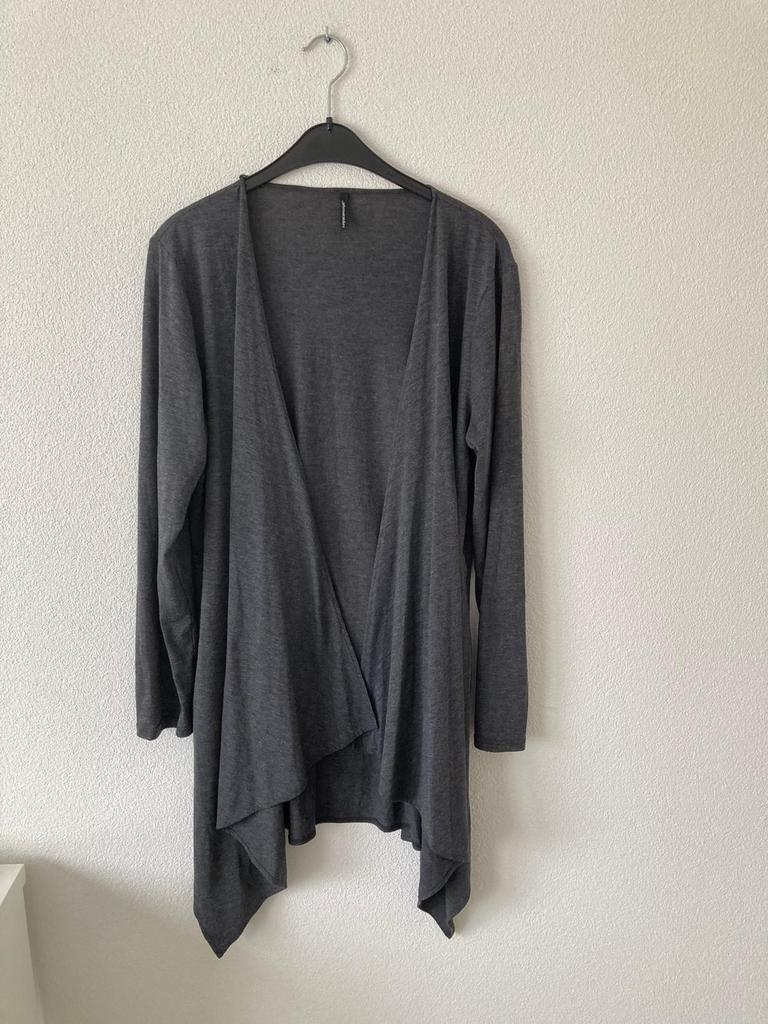 Fijn dun vestje XL 44 ‘Soyaconcept’, Ophalen of Verzenden, Zo goed als nieuw, Maat 42/44 (L), Grijs
