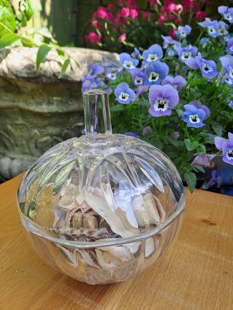 Decoratieve Glazen schaal met Deksel - Schelpen Inbegrepen, Ophalen of Verzenden