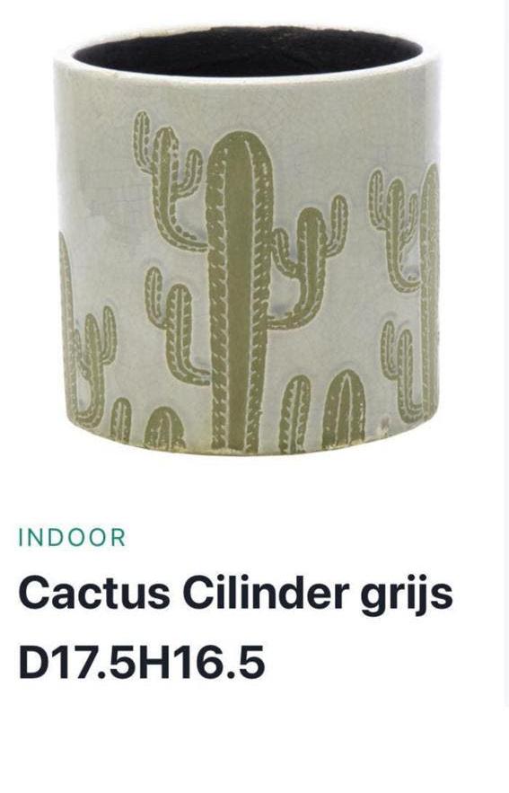 Pot met plant Cactus pot aardewerk van David Decorations, Ophalen of Verzenden, Cactus, In pot, Minder dan 100 cm