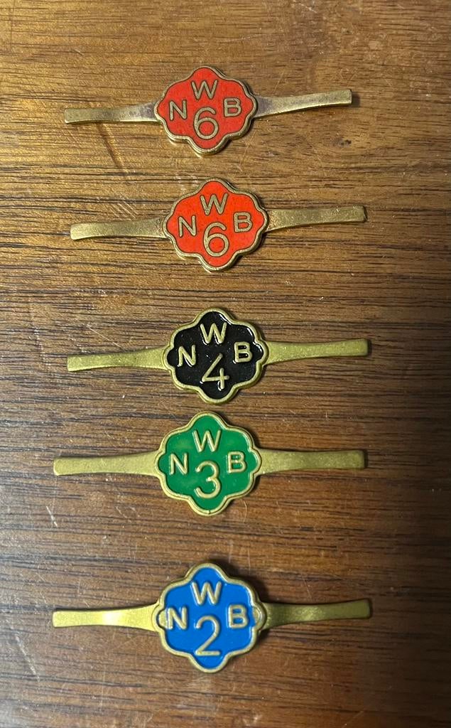 Pins speldjes NWB Nederlandse Wandelsport Bond, Verzamelen, Speldjes, Pins en Buttons, Ophalen of Verzenden, Zo goed als nieuw