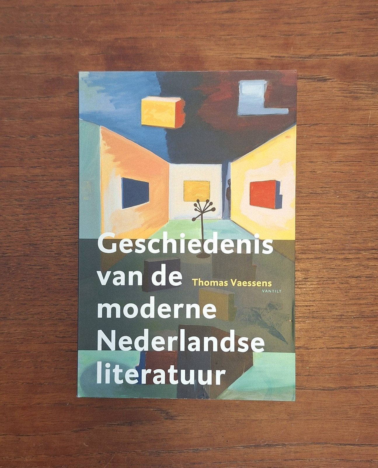 Geschiedenis van de moderne Nederlandse literatuur, Boeken, Ophalen of Verzenden, Thomas Vaessens, Alpha, WO