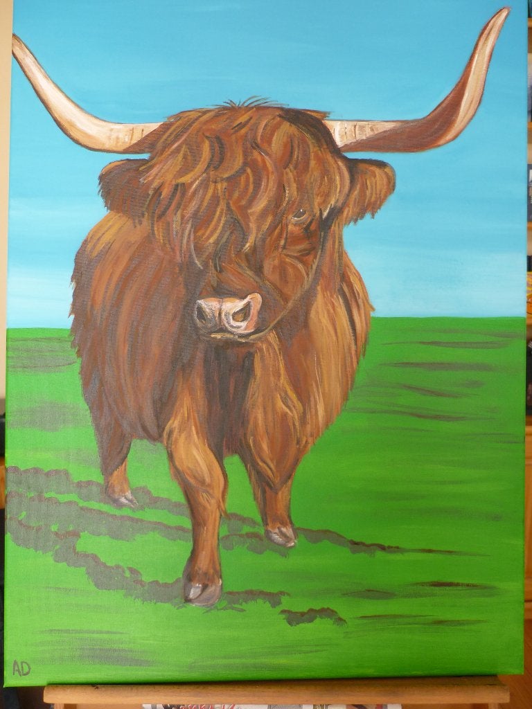 Hooglander koe, Acrylverf, Gesigneerd, Ophalen of Verzenden, Dieren
