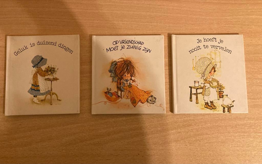 20 euro per boekje - Holly Hobbie & The Sunbeam Boekjes, Ophalen of Verzenden, Gelezen, Fictie algemeen