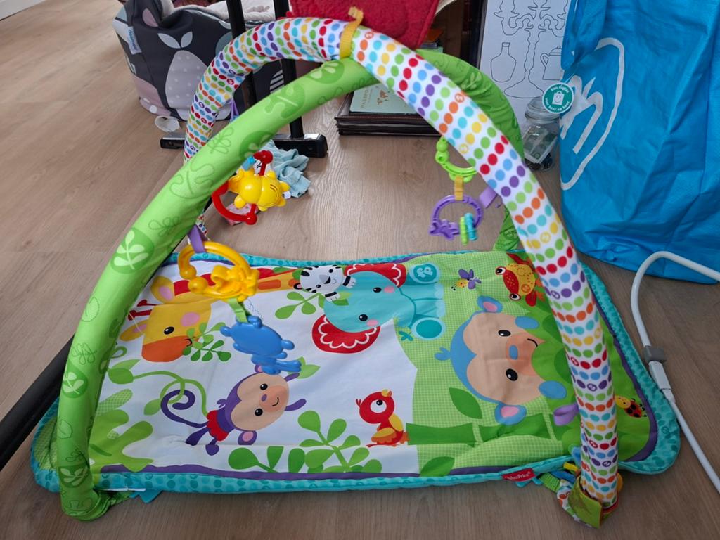 Baby gym fisher price, Ophalen, Gebruikt