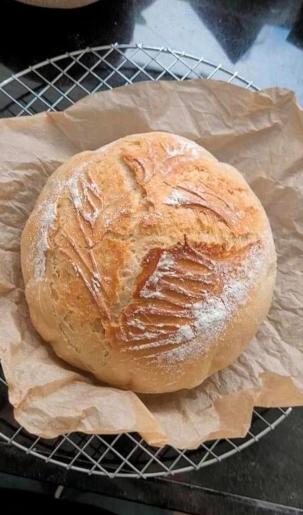 Zuurdesem starter, Ophalen
