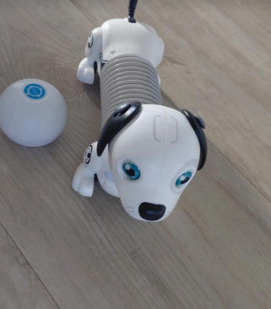 Robot teckel/ hond, Kinderen en Baby's, Speelgoed | Overig, Zo goed als nieuw, Jongen of Meisje, Ophalen of Verzenden