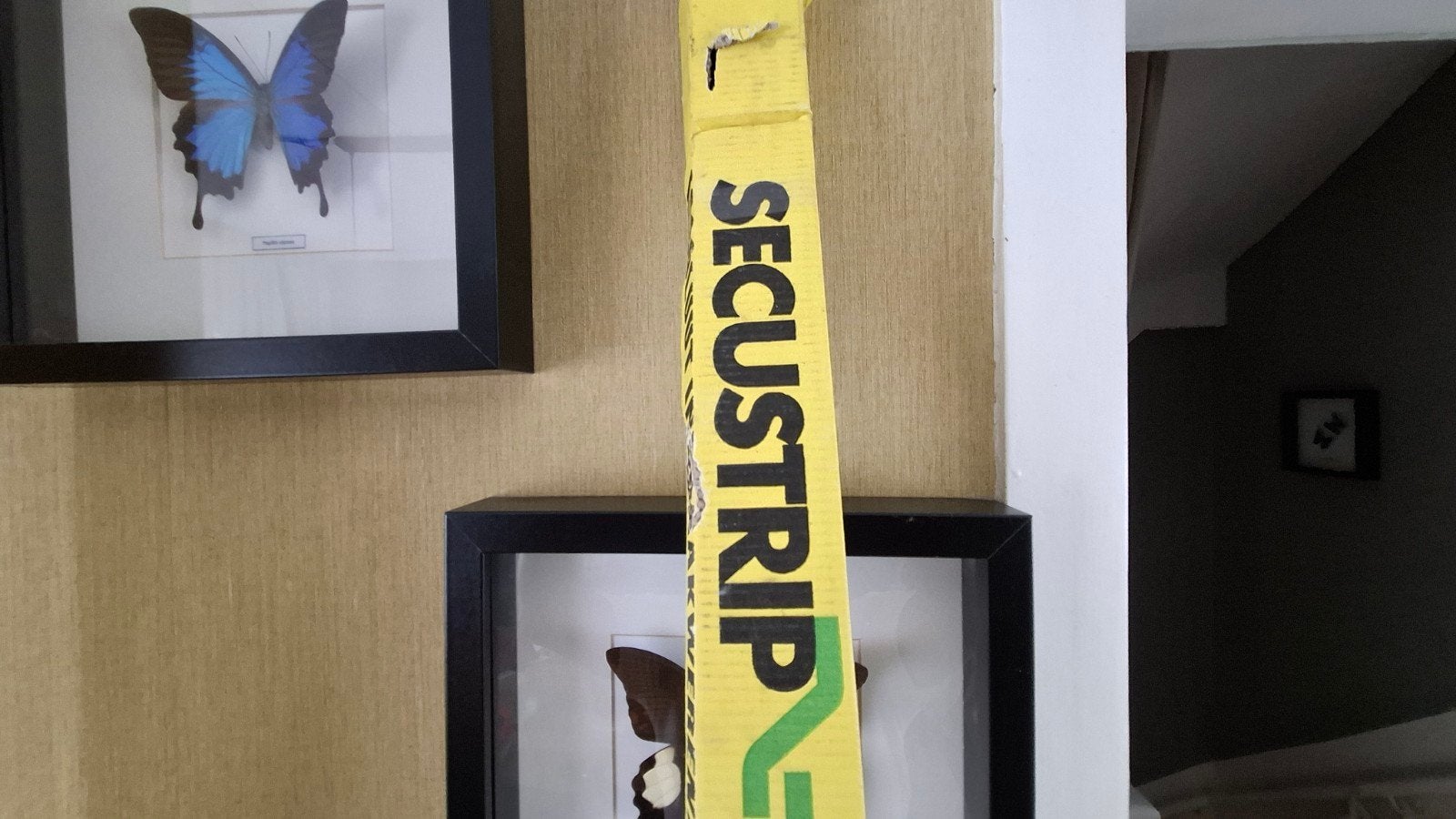 Secustrip Type 1 Wit - Inbraakbeveiliging voor deuren/ramen, Doe-het-zelf en Verbouw, Ophalen of Verzenden, Nieuw, 200 tot 215 cm