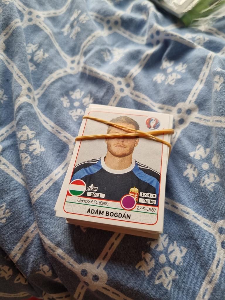 Panini Euro 2016 Frankrijk stickers - Adam Bogdan, Ophalen of Verzenden, Zo goed als nieuw, Meerdere stickers