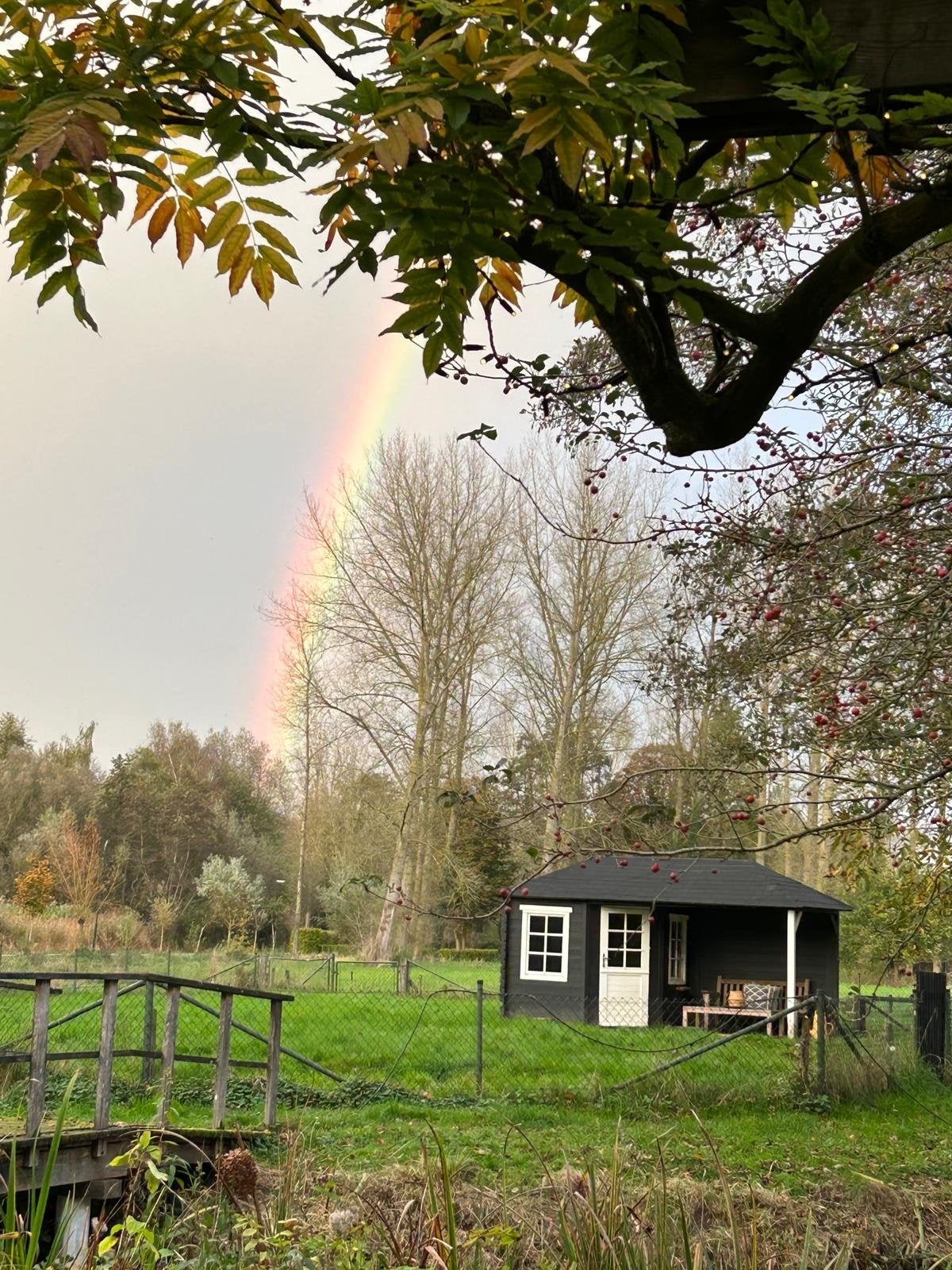 Tuinhuis GRATIS. Zelf demonteren, Tuin en Terras, Tuinhuizen, Ophalen, Tuinhuis, 250 tot 500 cm, 2 ramen